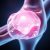 Hyalofast – innowacyjna terapia regeneracji chrząstki stawowej