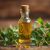 Olejek z oregano – naturalny antybiotyk i jego zastosowanie w zdrowiu